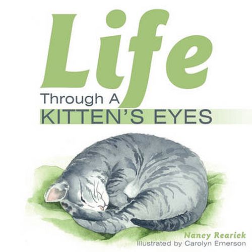 Cover image for Life Through a Kitten's Eyes