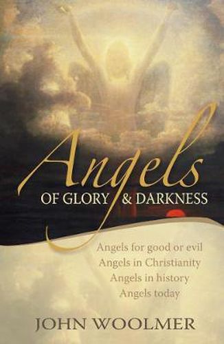 Cover image for Angels of Glory and Darkness