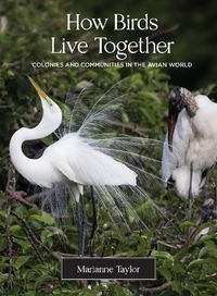 Cover image for How Birds Live Together: Colonies and Communities in the Avian World