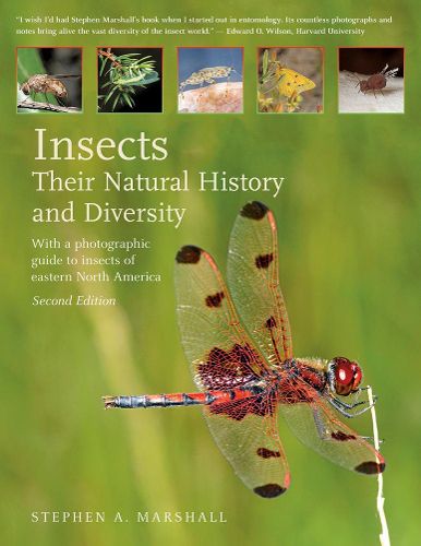 Cover image for Insects: Their Natural History and Diversity