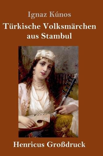 Cover image for Turkische Volksmarchen aus Stambul (Grossdruck)