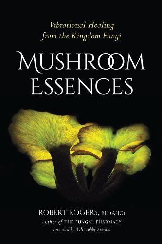 Cover image for Mushroom Essences: Vibrational Healing from the Kingdom Fungi