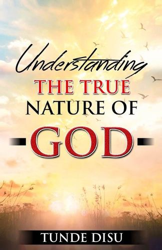 Cover image for Understanding The True Nature of God