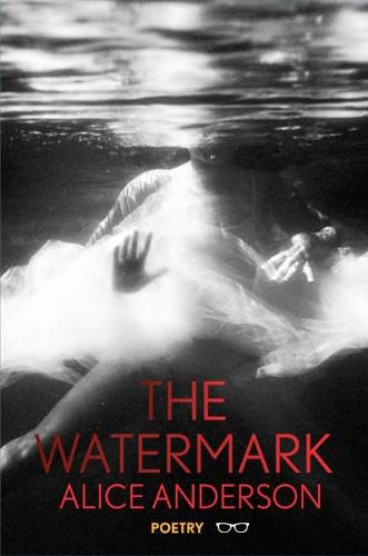 Cover image for The Watermark