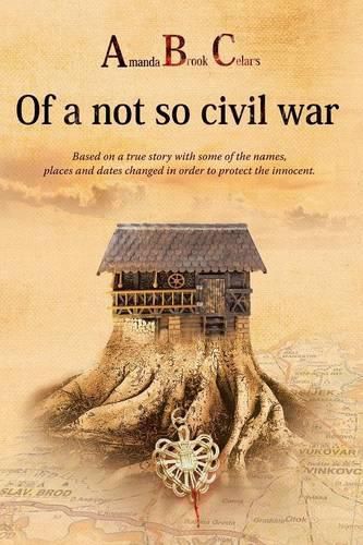 Amanda Brook Celar's Of a not so civil war