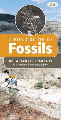 Cover image for A Field Guide to Fossils