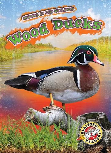 Cover image for Wood Ducks