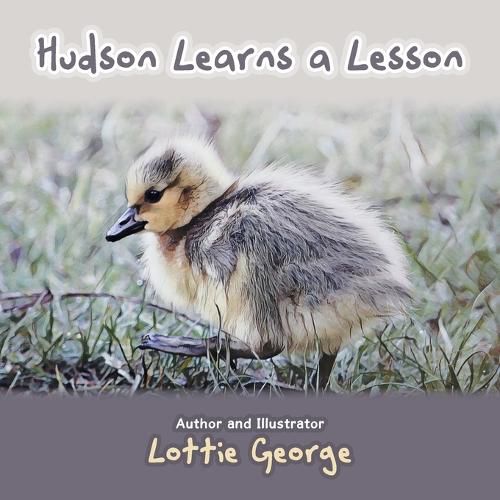 Cover image for Hudson Learns a Lesson