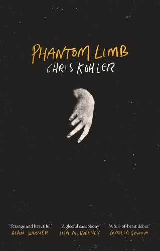 Cover image for Phantom Limb