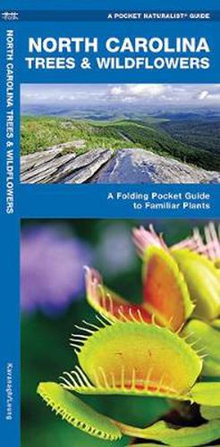 Cover image for North Carolina Trees & Wildflowers: A Folding Pocket Guide to Familiar Species