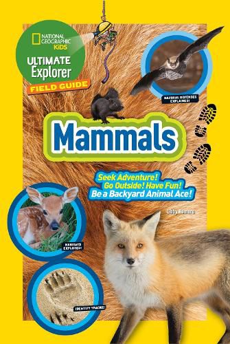 Cover image for Ultimate Explorer Field Guide: Mammals