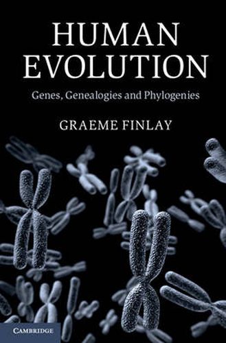 Cover image for Human Evolution: Genes, Genealogies and Phylogenies