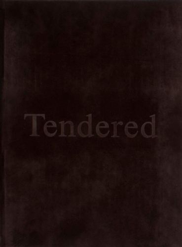 Cover image for Karimah Ashadu: Tendered