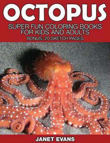 Cover image for Octopus: Super Fun Coloring Books for Kids and Adults (Bonus: 20 Sketch Pages)