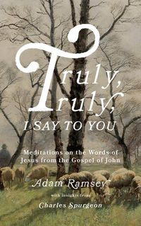 Cover image for Truly, truly, I say to you: Meditations on the Words of Jesus from the Gospel of John