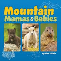 Cover image for Mountain Mamas and Babies