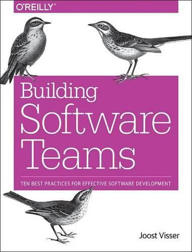 Cover image for Building Software Teams