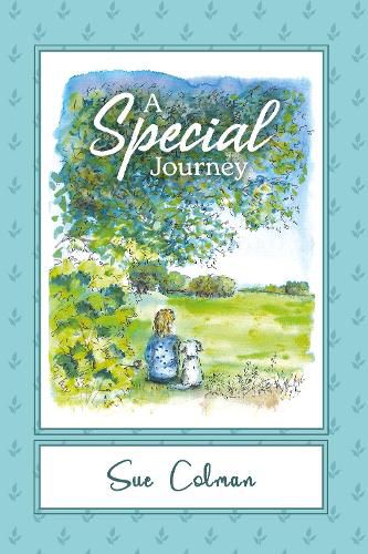 Cover image for A Special Journey