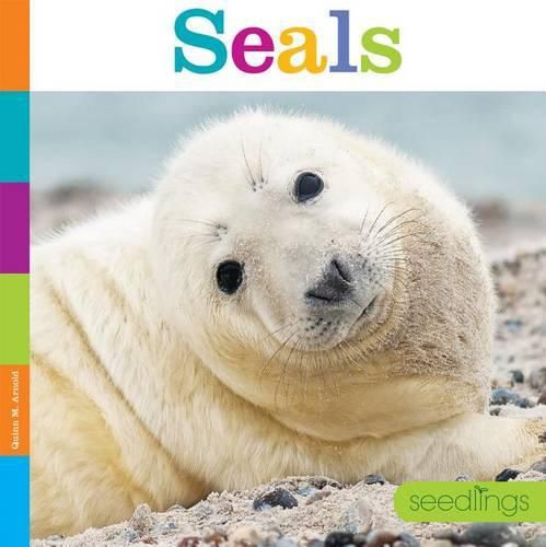 Seals