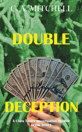 Cover image for Double Deception