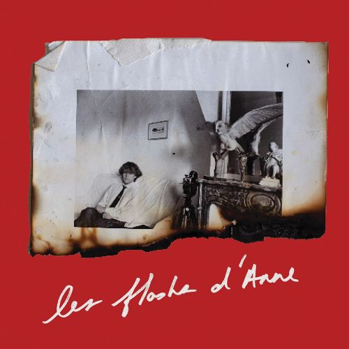Cover image for Anne Day: Les Flashes d'Anne