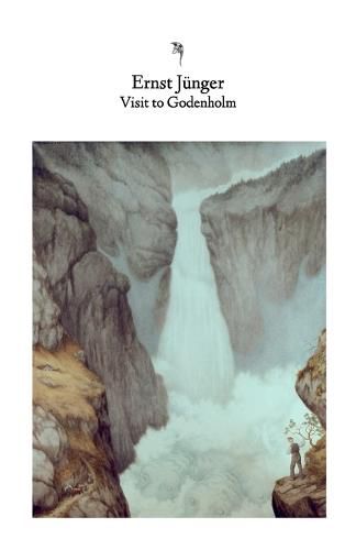 Cover image for Visit to Godenholm