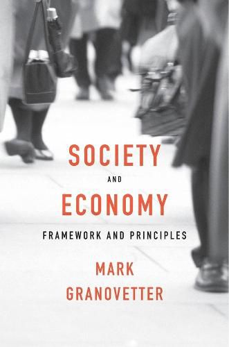 Cover image for Society and Economy: Framework and Principles