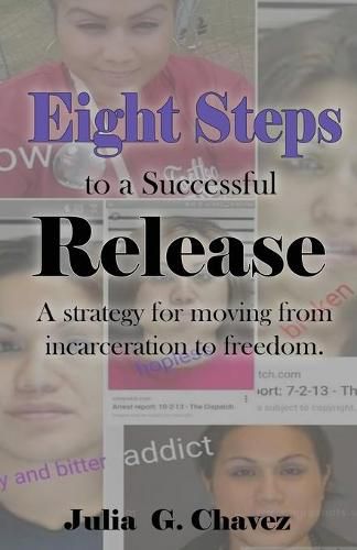 Cover image for Eight Steps to a Successful Release: A strategy for moving from incarceration to freedom.