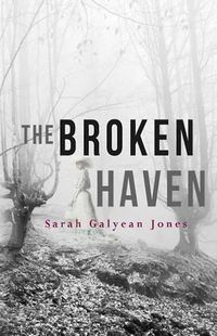 Cover image for The Broken Haven