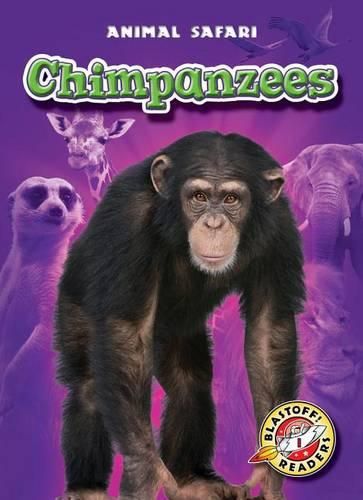 Cover image for Chimpanzees