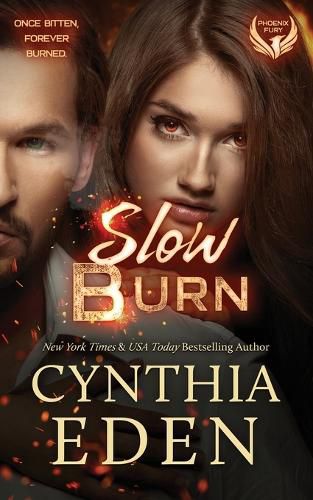 Cover image for Slow Burn