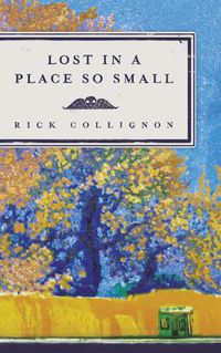 Cover image for Lost in a Place So Small