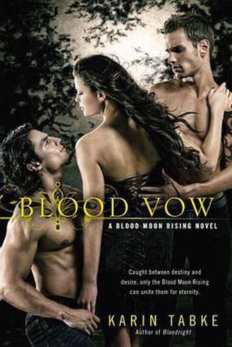 Cover image for Blood Vow