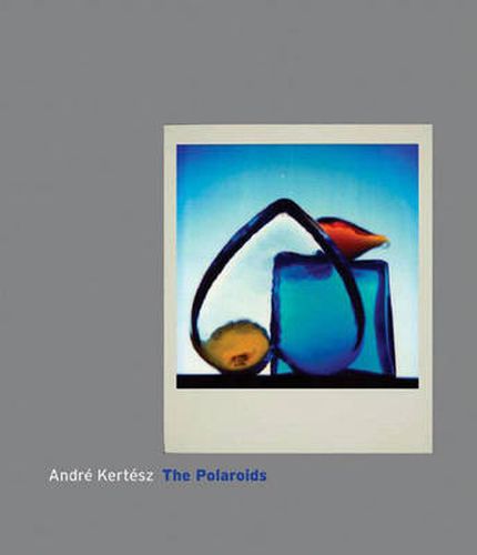Cover image for Andre Kertesz: The Polaroids