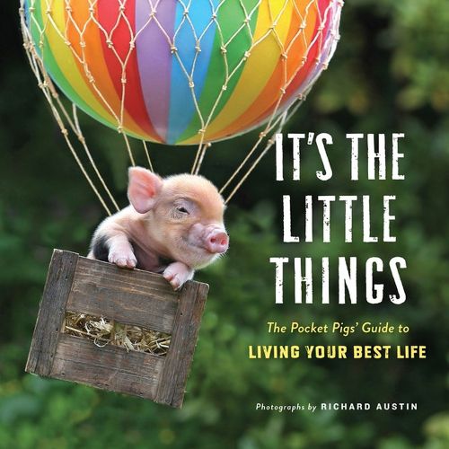 Cover image for It's the Little Things: The Pocket Pigs' Guide to Living Your Best Life (Inspiration Book, Gift Book, Life Lessons, Mini Pigs)