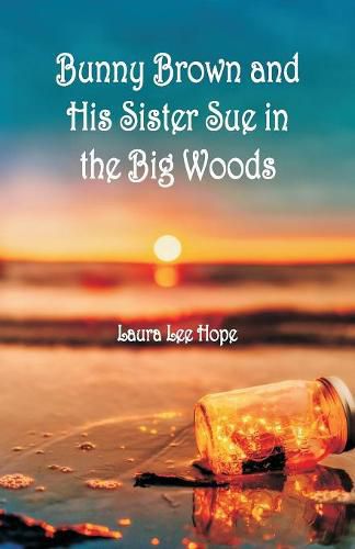 Cover image for Bunny Brown and His Sister Sue in the Big Woods