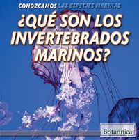 Cover image for ?Que Son Los Invertebrados Marinos? (What Are Sea Invertebrates?)