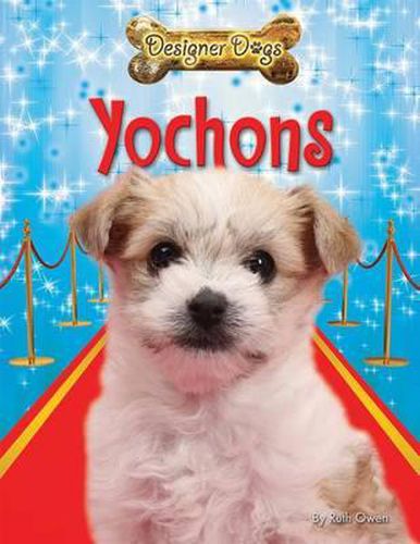 Cover image for Yochons