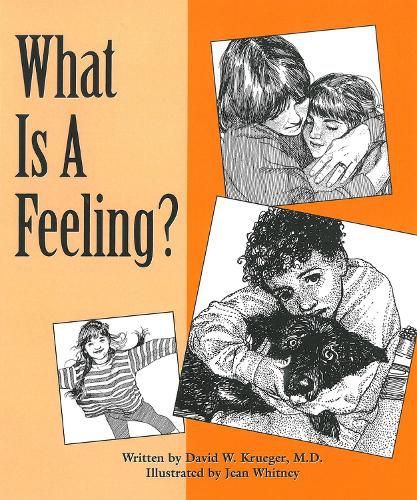 Cover image for What Is a Feeling?