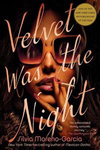 Cover image for Velvet Was the Night