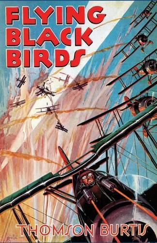 Cover image for Flying Black Birds