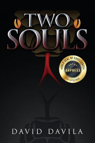 Cover image for Two Souls