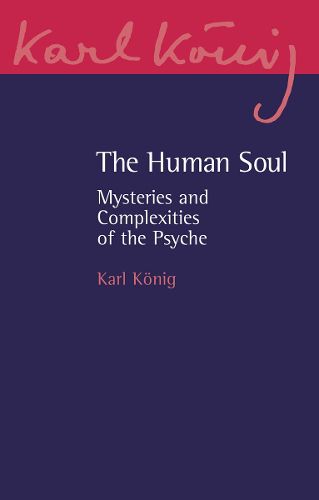 Cover image for The Human Soul