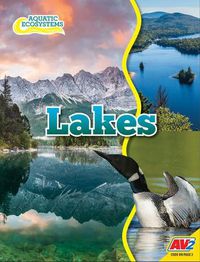 Cover image for Lakes