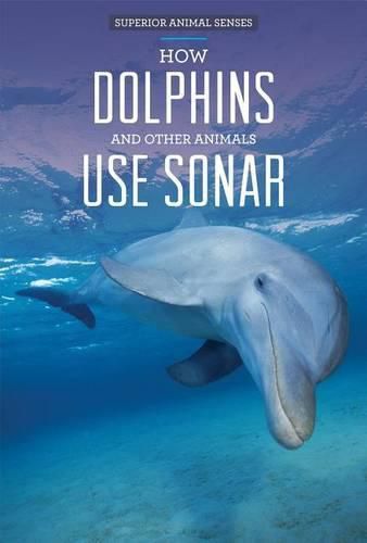 How Dolphins and Other Animals Use Sonar