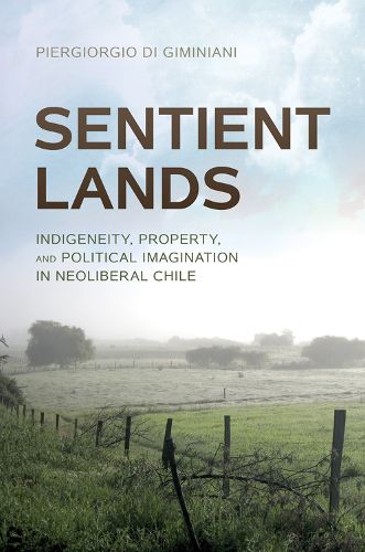 Cover image for Sentient Lands