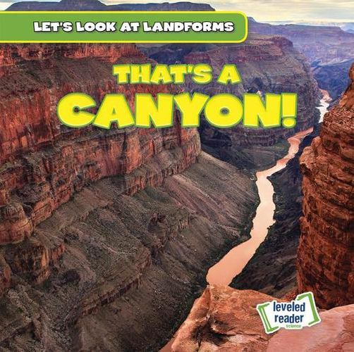 Cover image for That's a Canyon!