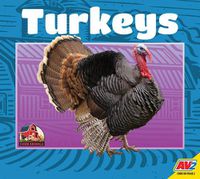 Cover image for Turkeys