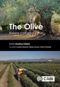 Cover image for The Olive