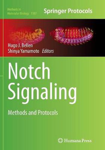 Cover image for Notch Signaling: Methods and Protocols